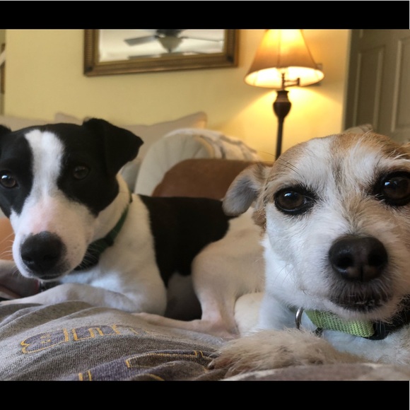 Meet your Posher, Mary - Picture 1 of 1